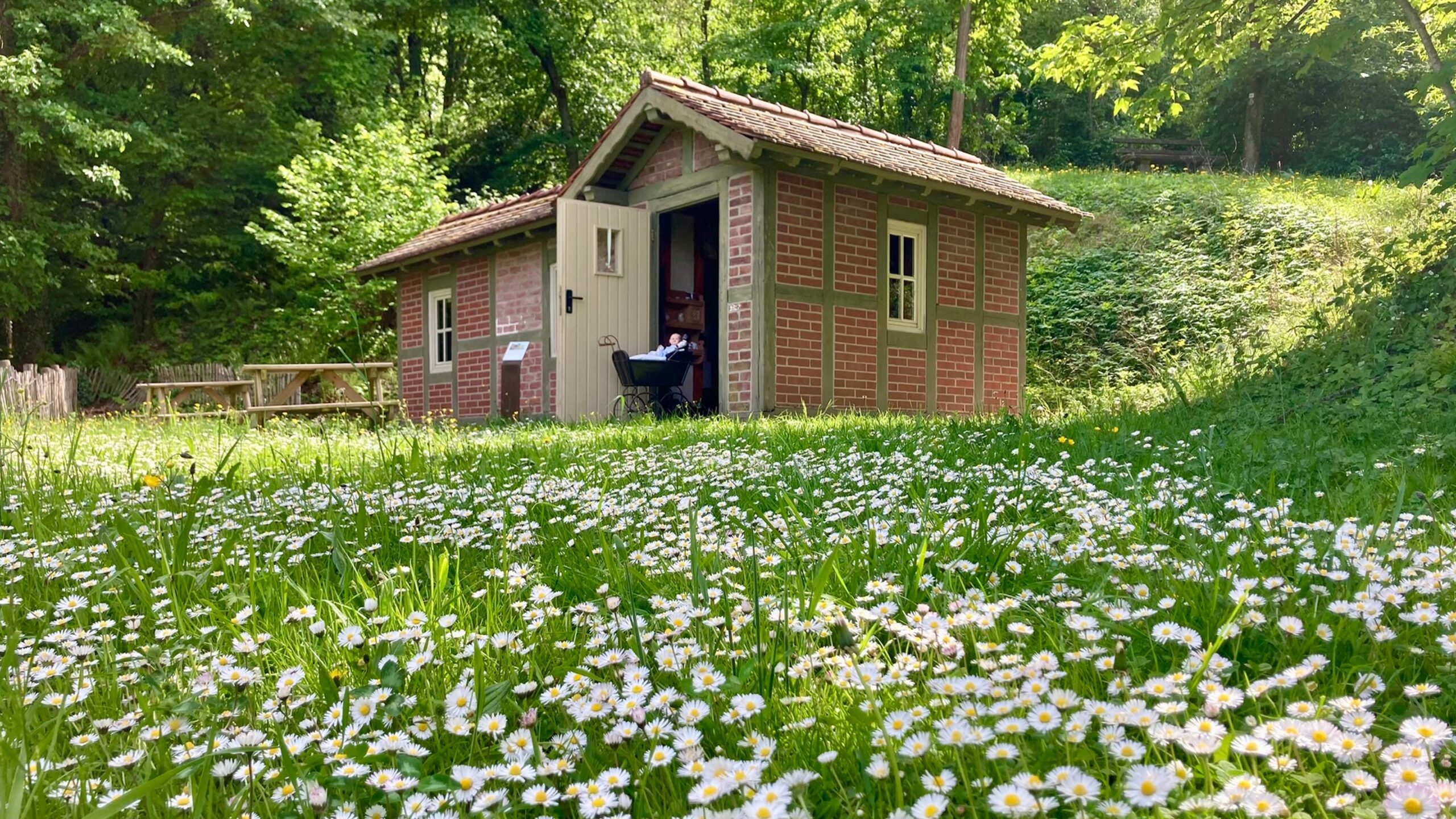 Das Prinzessinnenhaus im Frühling auf einer blühenden Margarittewiese